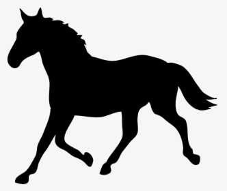 Detail Horse Silhouette Transparent Background Nomer 4