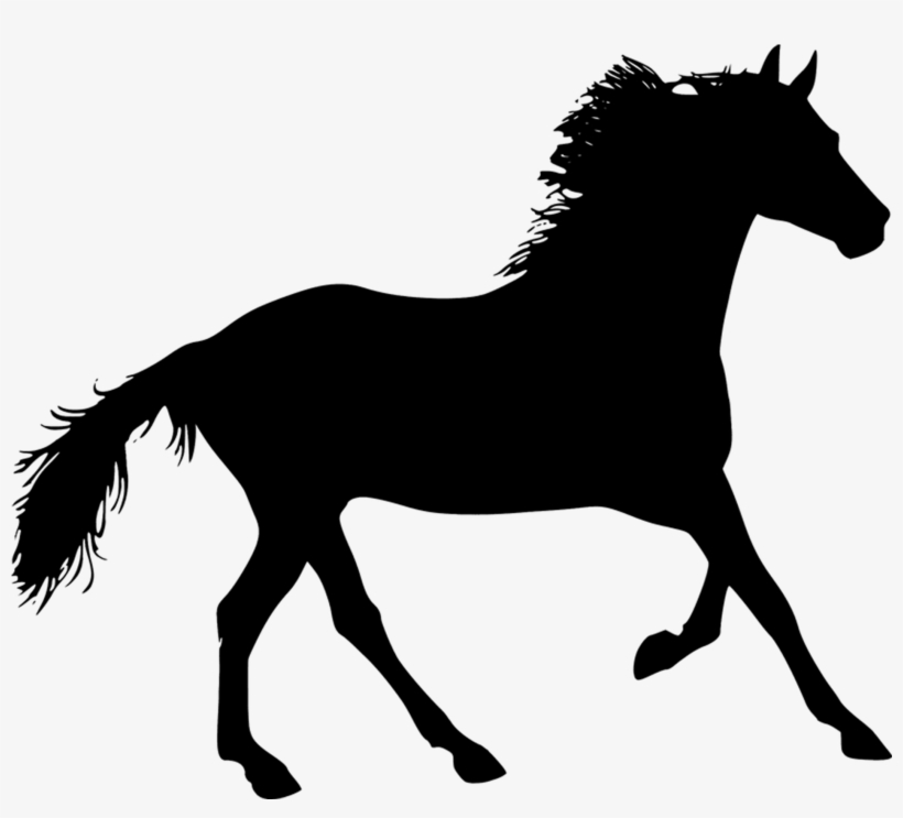 Detail Horse Silhouette Transparent Background Nomer 40