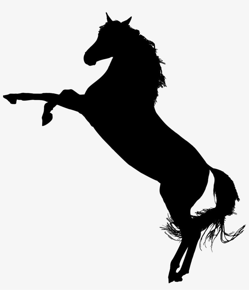 Detail Horse Silhouette Transparent Background Nomer 52