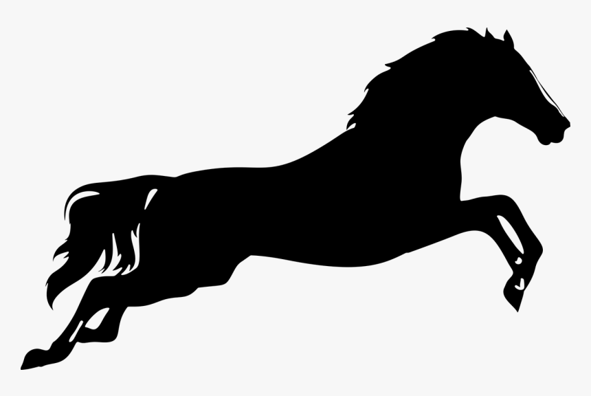 Detail Horse Silhouette Transparent Background Nomer 5