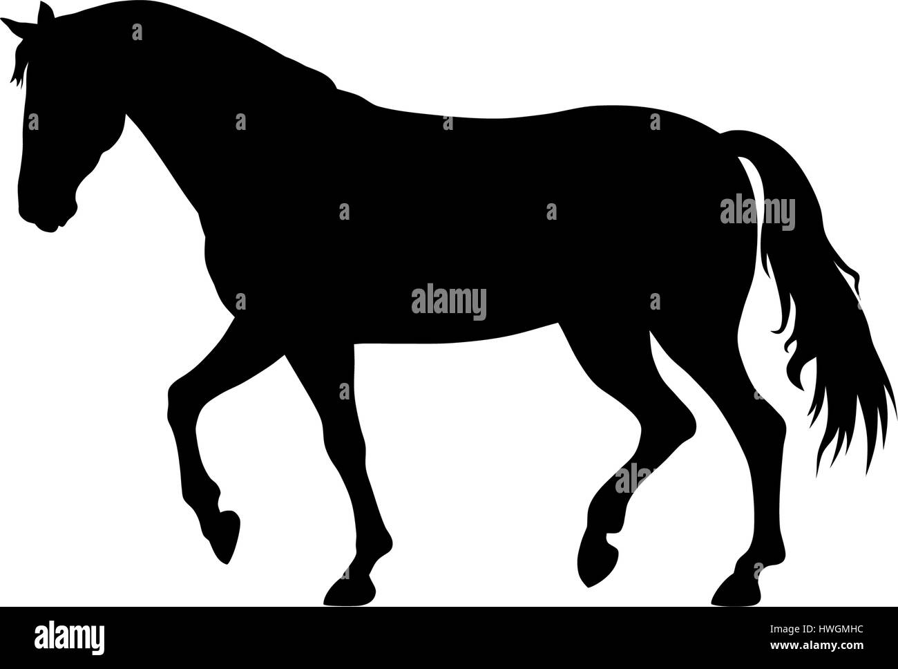 Detail Horse Siluet Nomer 14