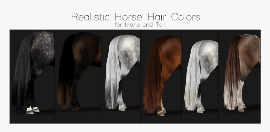 Detail Horse Tail Png Nomer 11