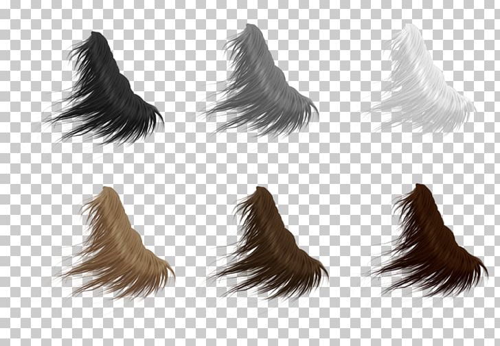 Detail Horse Tail Png Nomer 14