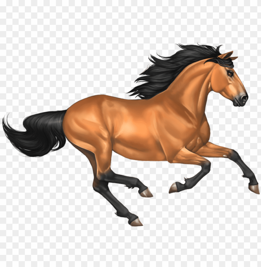 Detail Horse Transparent Background Nomer 15