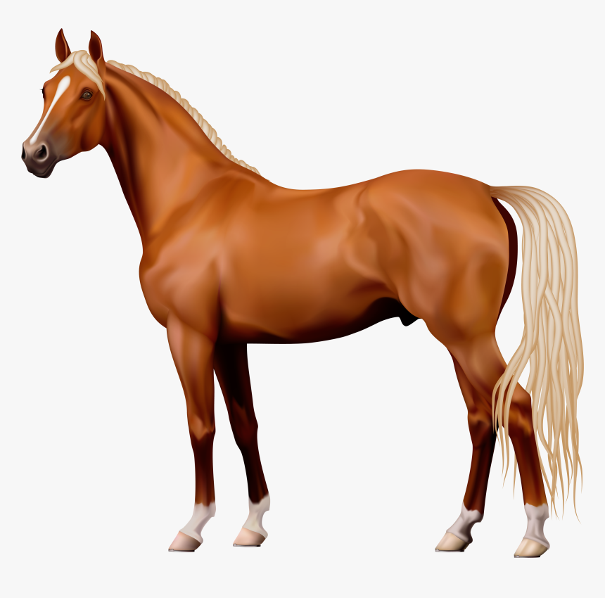 Detail Horse Transparent Background Nomer 3