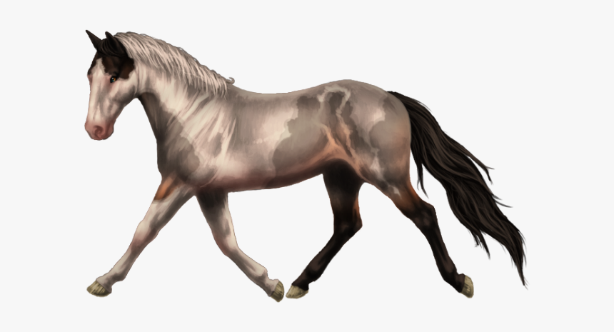 Detail Horse Transparent Background Nomer 34