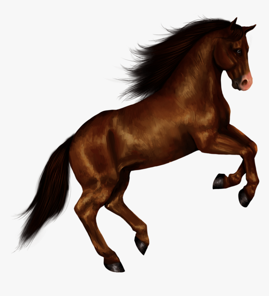 Detail Horse Transparent Png Nomer 9