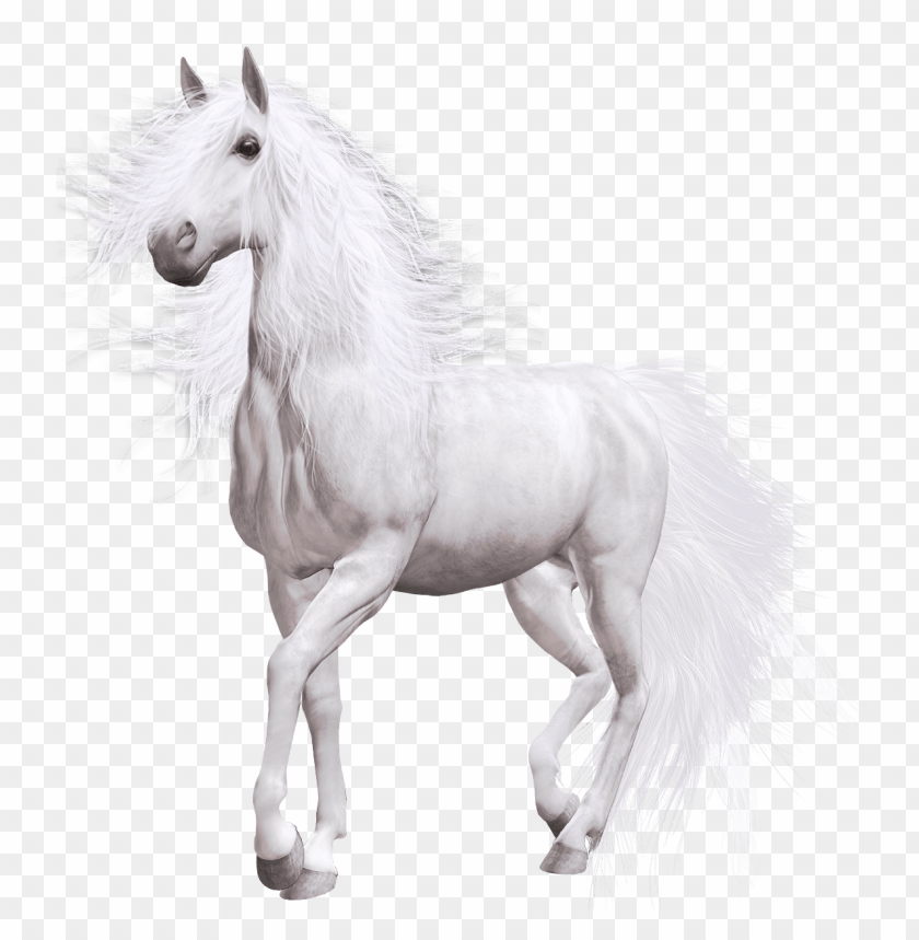 Detail Horse Transparent Png Nomer 39