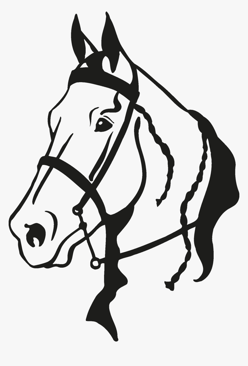 Detail Horse Vector Png Nomer 15