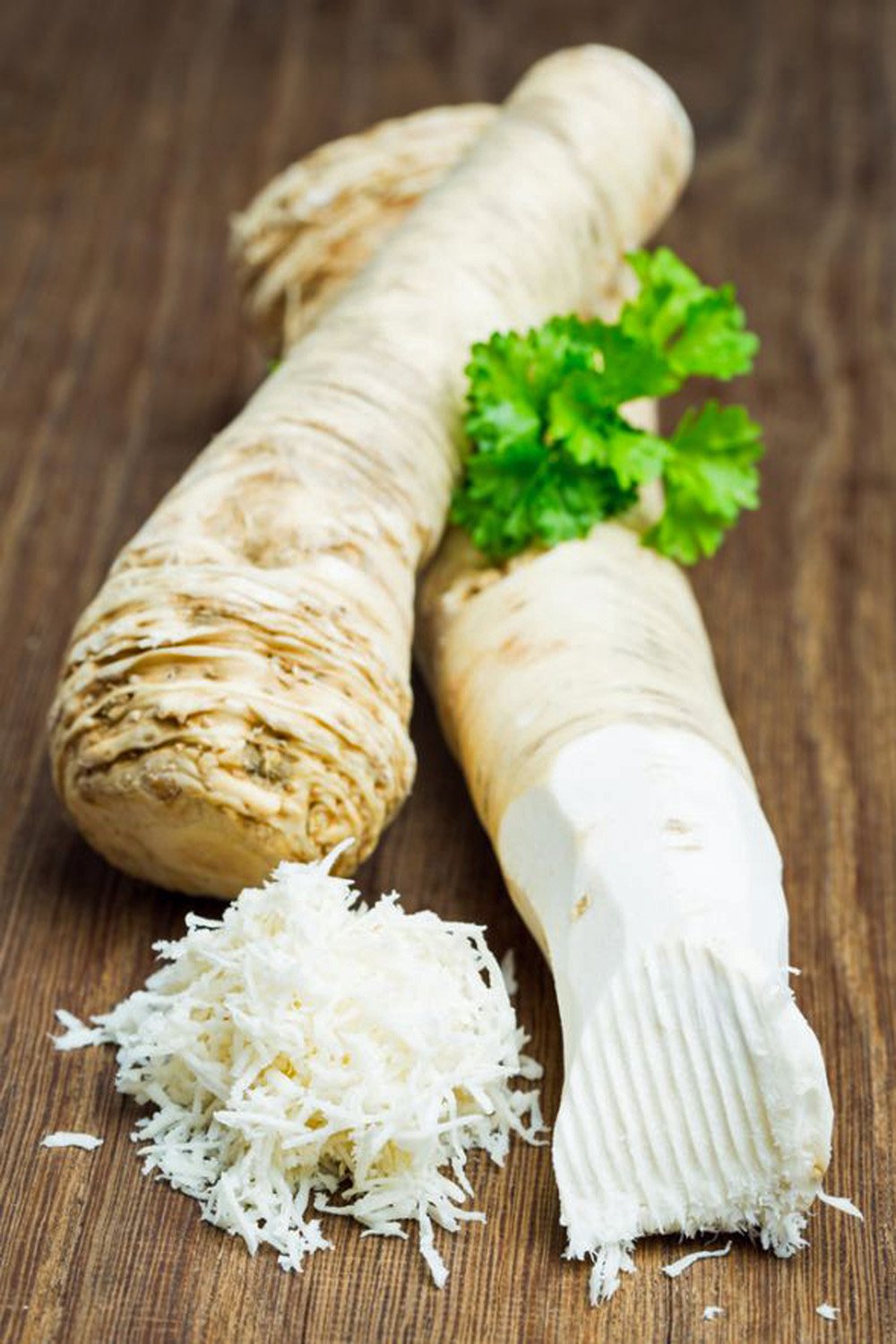 Detail Horseradish Plant Photo Nomer 20