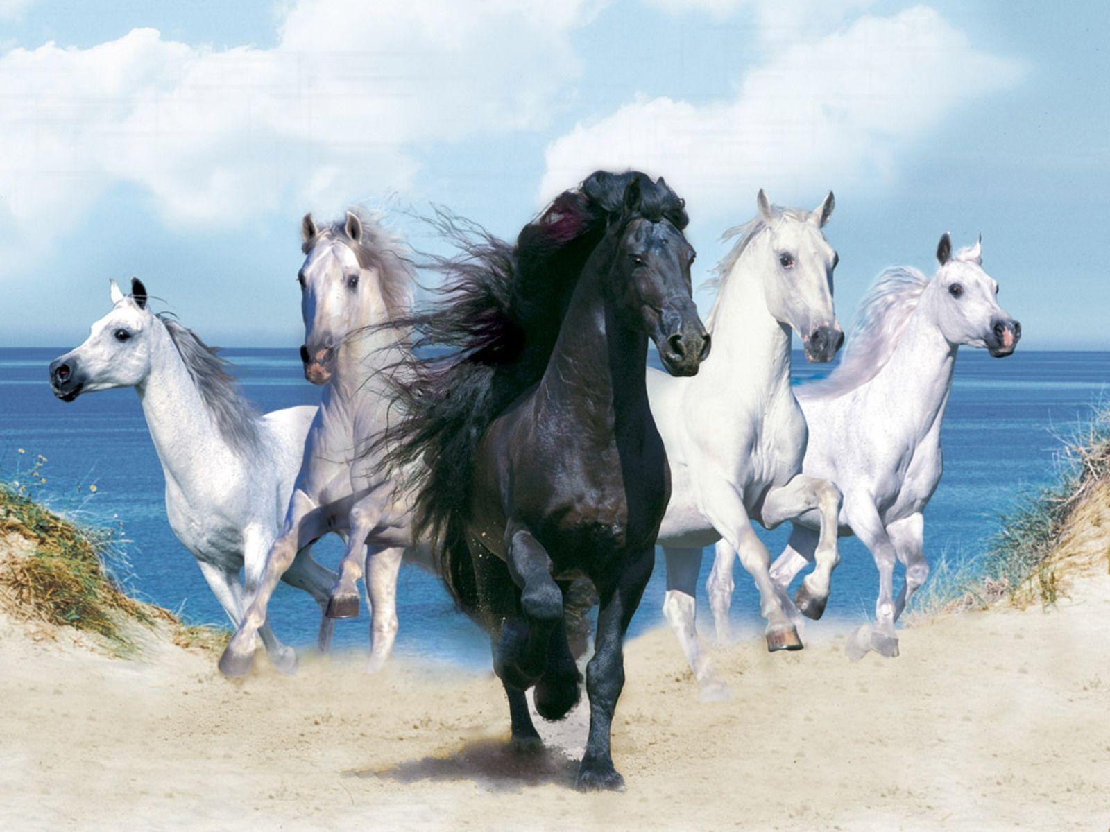 Detail Horses Images Free Download Nomer 2