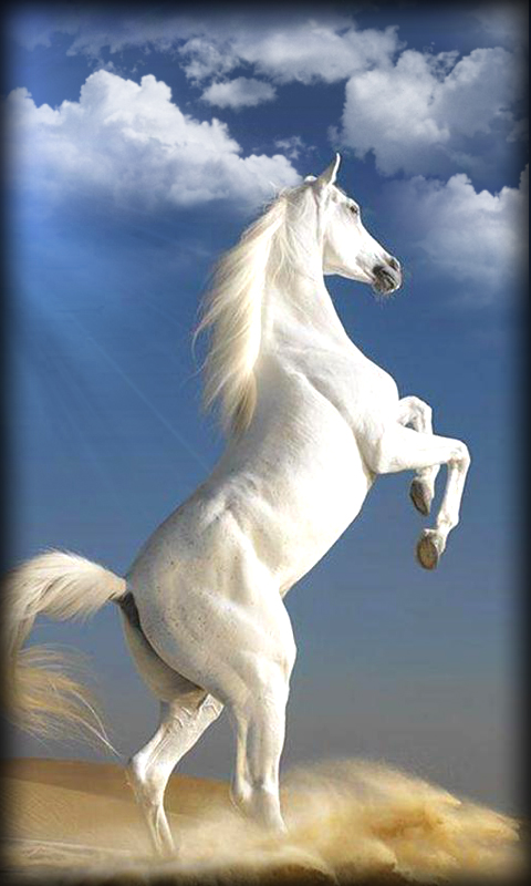 Detail Horses Images Free Download Nomer 15