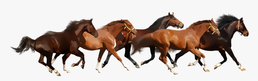 Horses Running Png - KibrisPDR