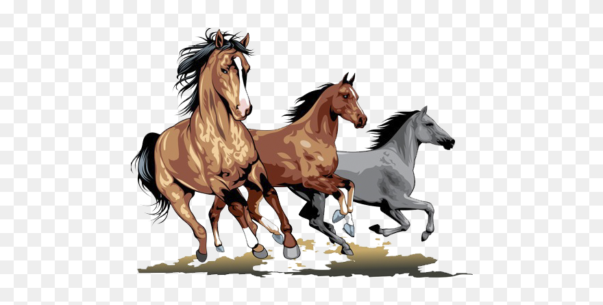 Detail Horses Running Png Nomer 9