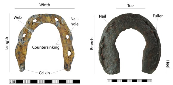 Detail Horseshoe Image Nomer 44