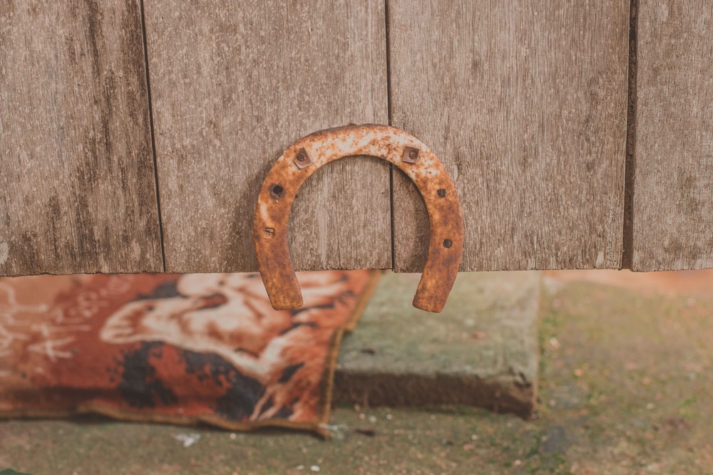 Detail Horseshoe Image Nomer 47