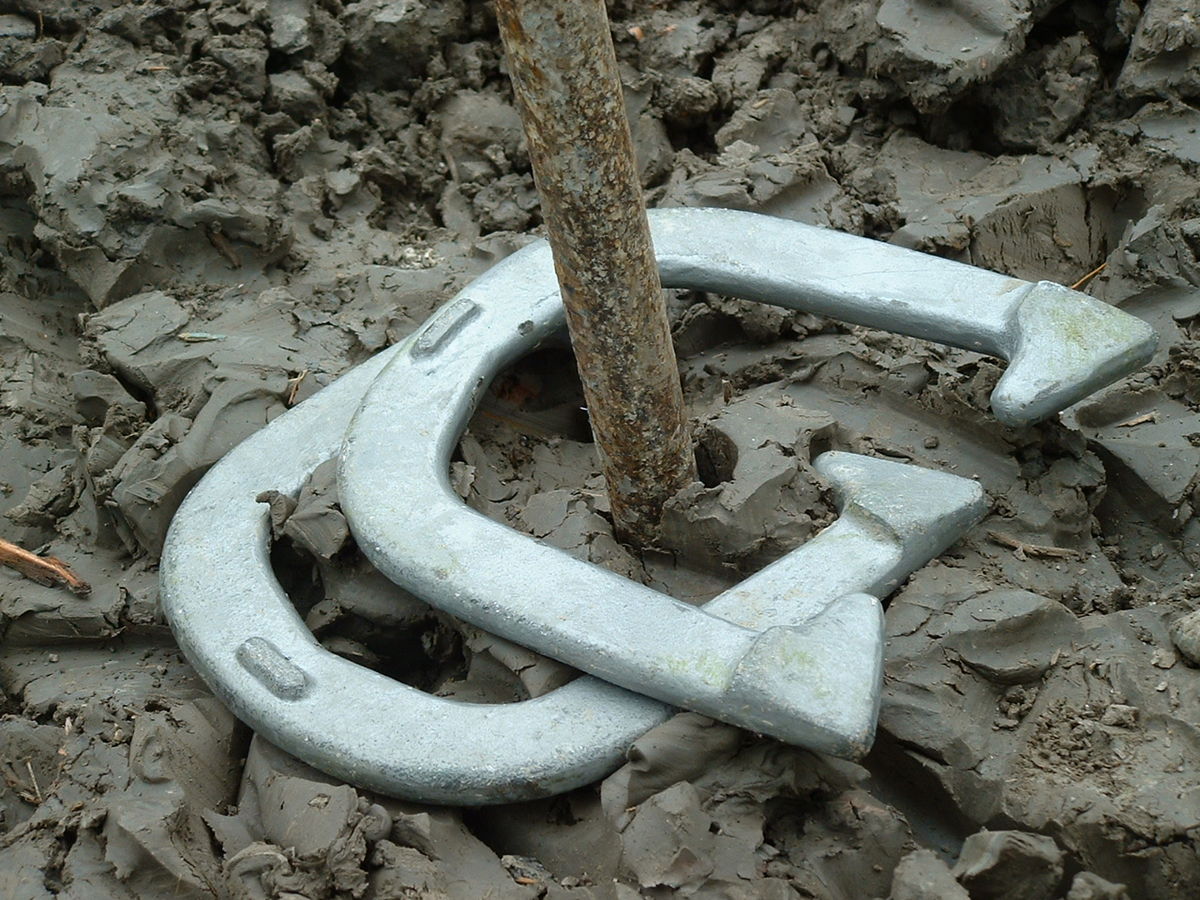 Detail Horseshoe Image Nomer 49