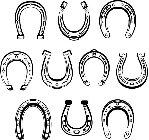 Detail Horseshoe Pictures Nomer 41