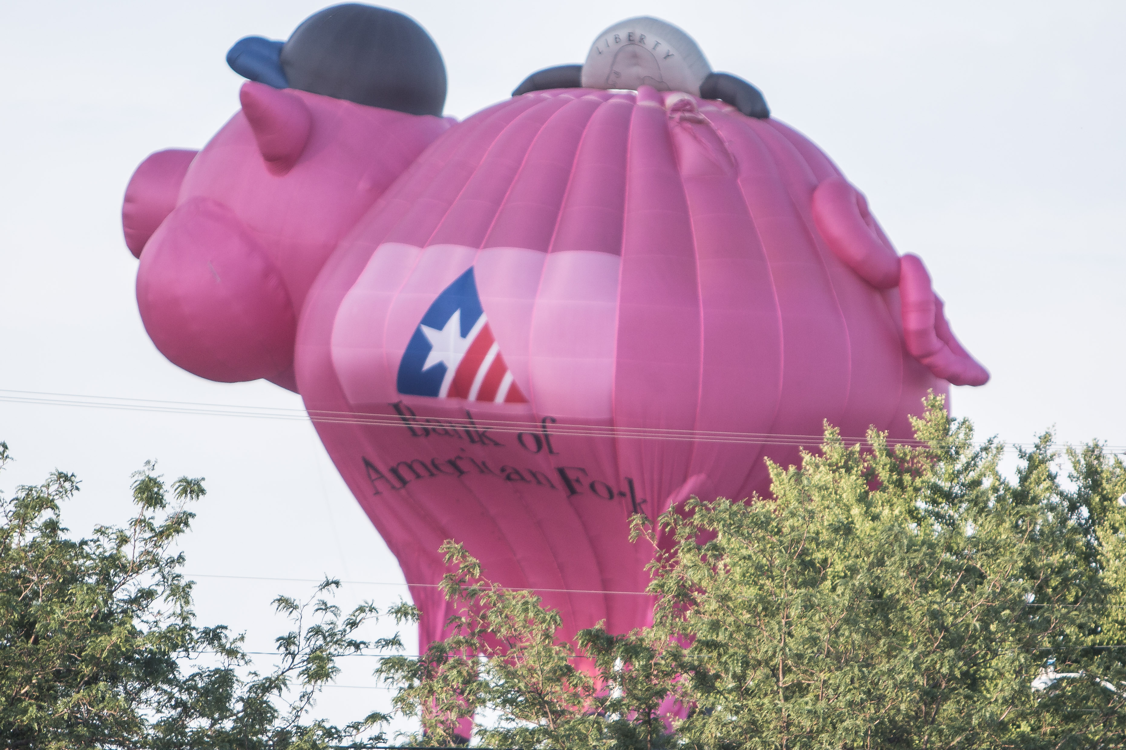 Detail Hot Air Balloon Piggy Bank Nomer 28