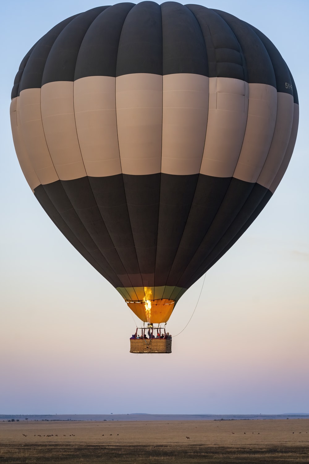 Detail Hot Air Balloons Images Nomer 4