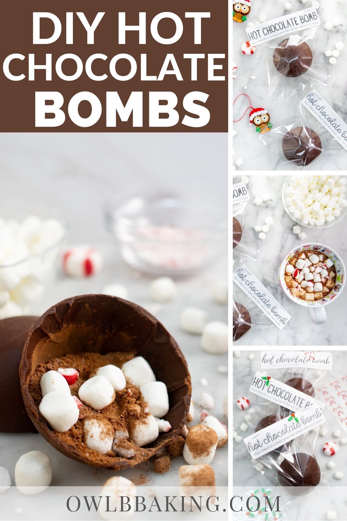 Detail Hot Chocolate Bombs Ebay Nomer 23