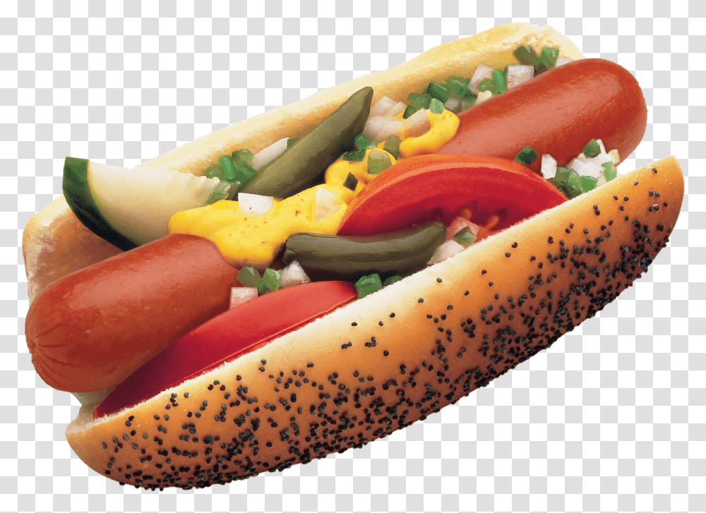 Detail Hot Dog Clipart Png Nomer 42