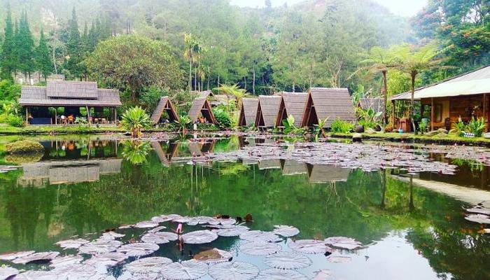 Detail Hotel Pemandangan Bagus Di Lembang Nomer 17