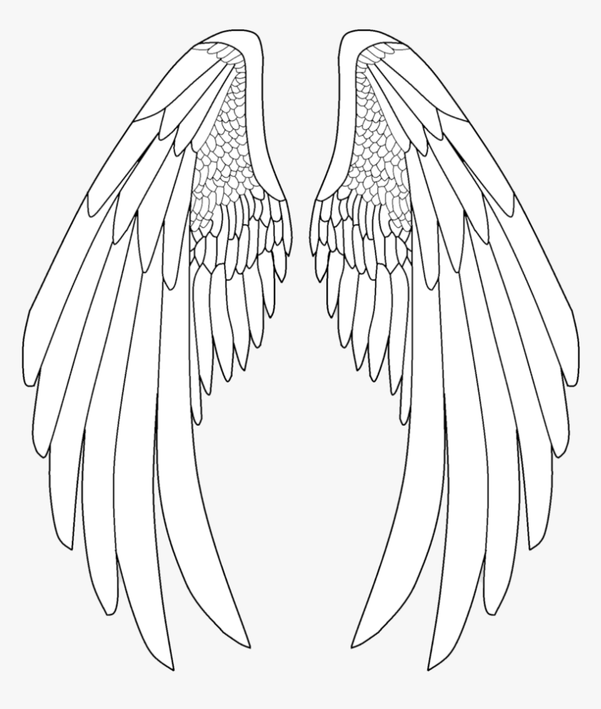 Detail How Do You Draw Angel Wings Nomer 19