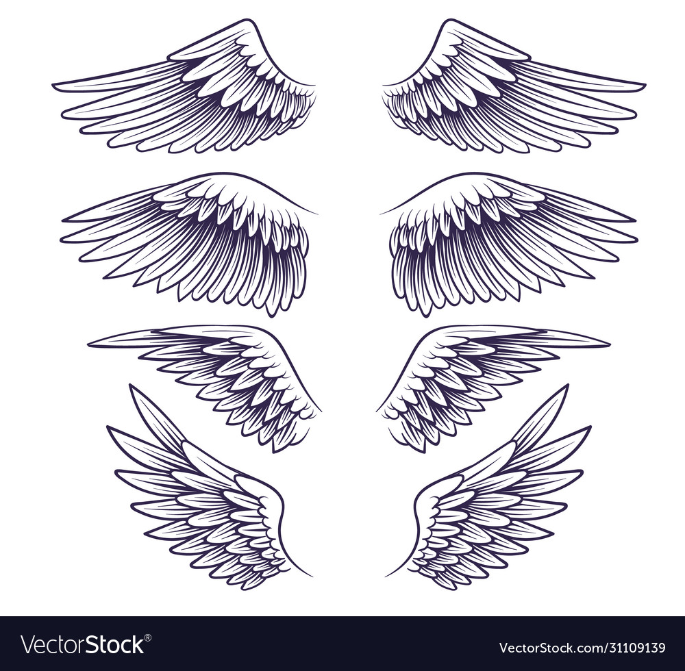 Detail How Do You Draw Angel Wings Nomer 20