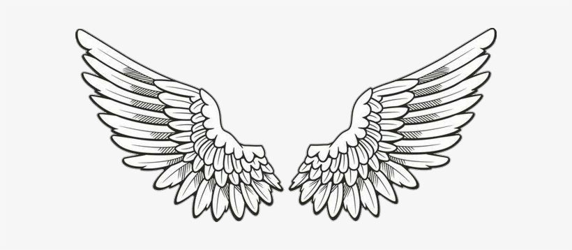 Detail How Do You Draw Angel Wings Nomer 31