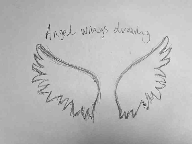 Detail How Do You Draw Angel Wings Nomer 38