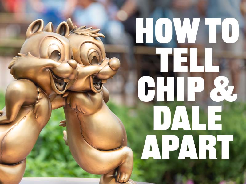 Detail How Do You Tell The Difference Between Chip And Dale Nomer 11