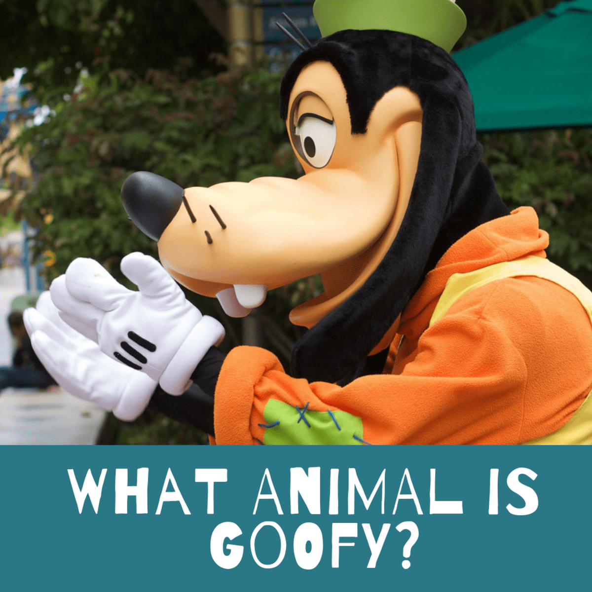 Detail How Tall Is Goofy Nomer 27