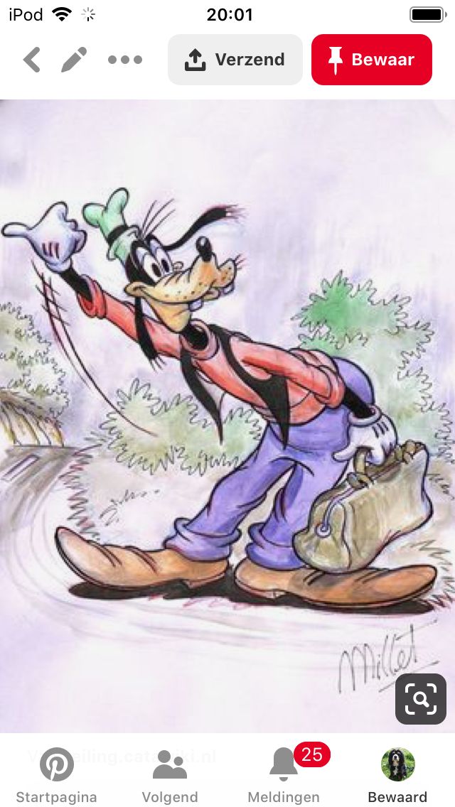 Detail How Tall Is Goofy Nomer 42