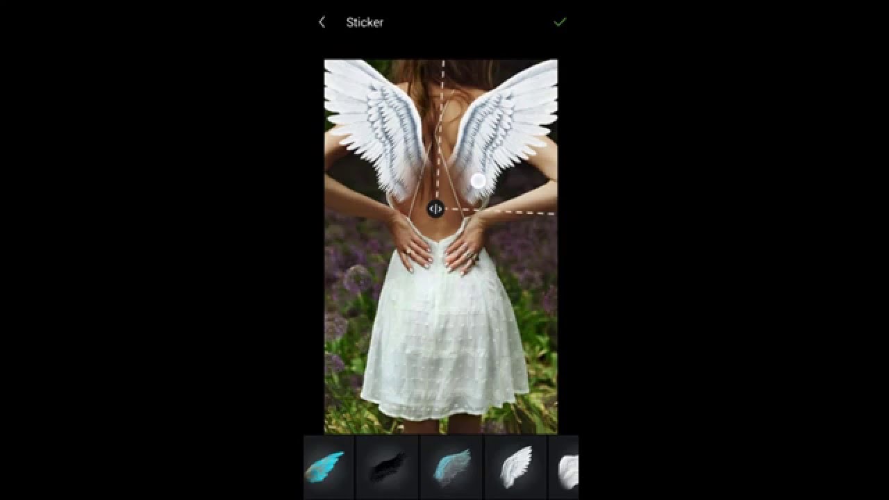 Detail How To Add Wings To A Picture Nomer 16