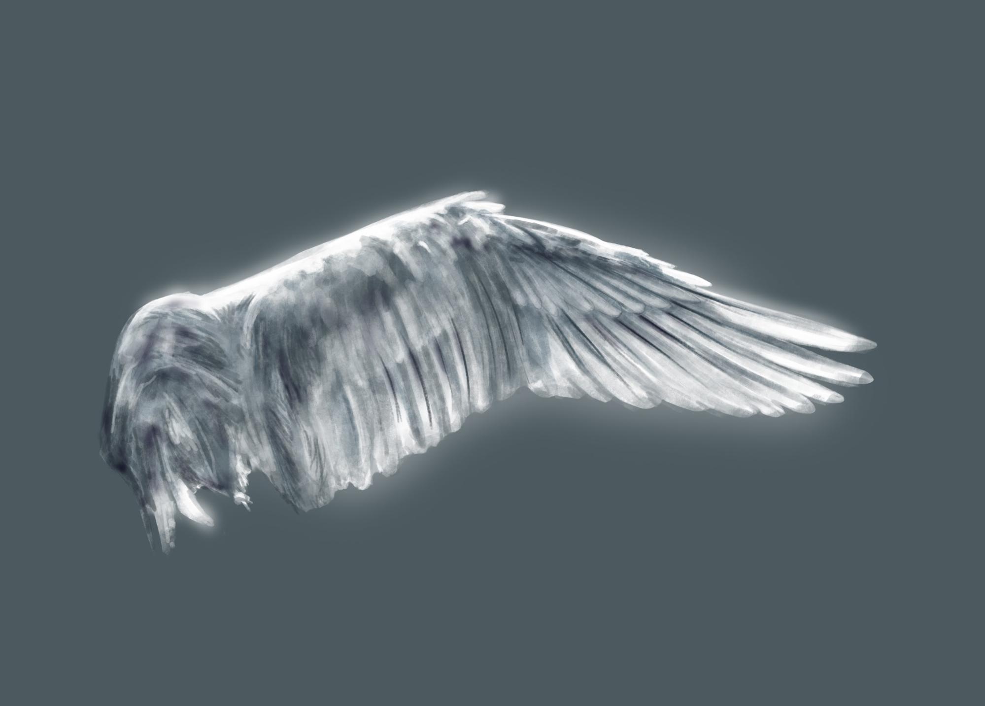 Detail How To Add Wings To A Picture In Photoshop Nomer 45