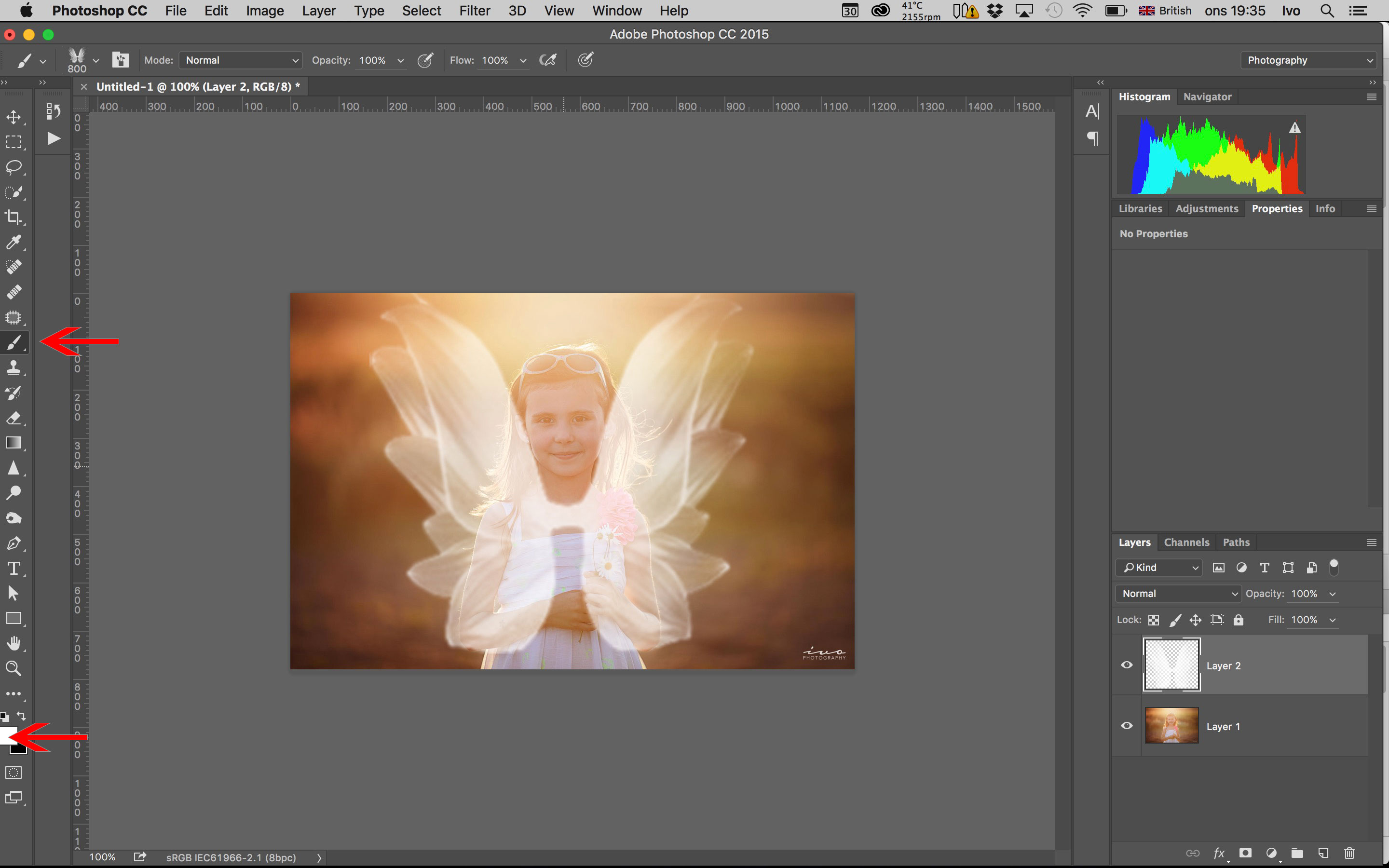 Detail How To Add Wings To A Picture In Photoshop Nomer 8