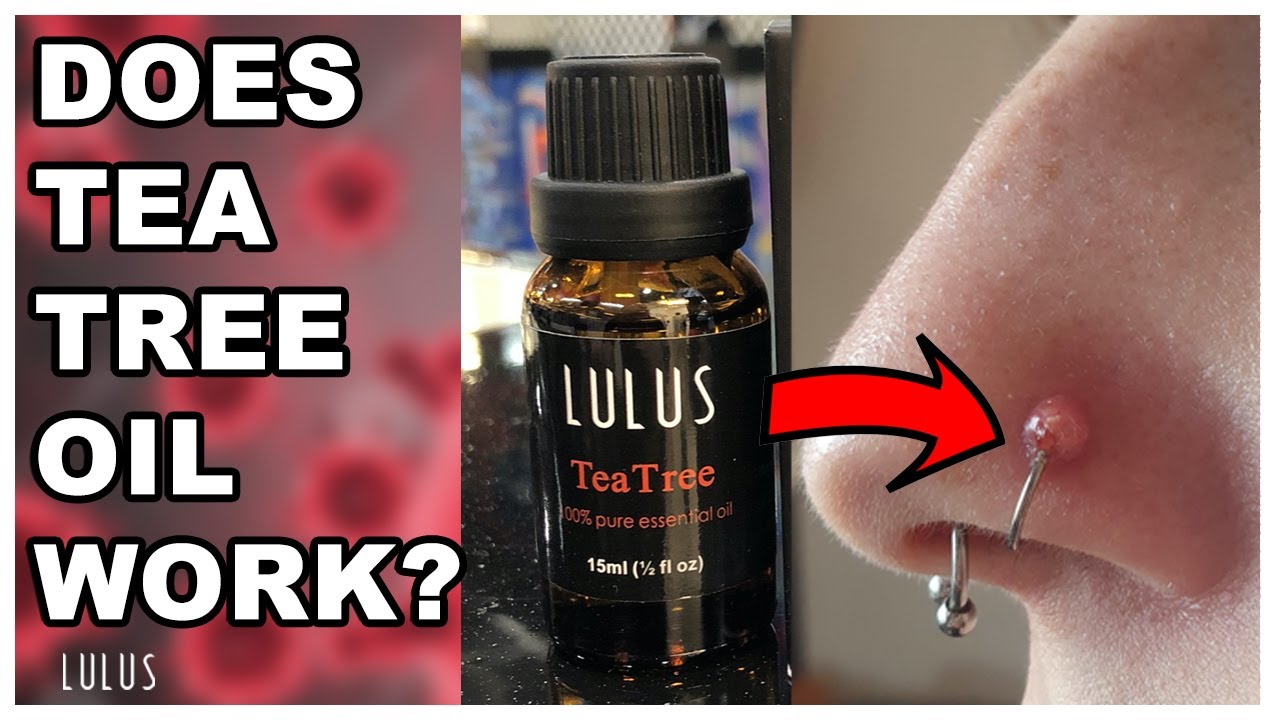 How To Apply Tea Tree Oil To Nose Piercing - KibrisPDR