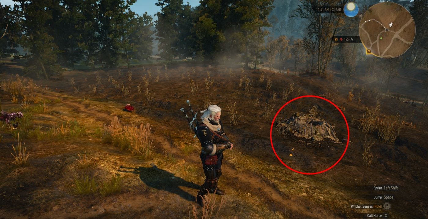 Detail How To Blow Up Nest Witcher 2 Nomer 30