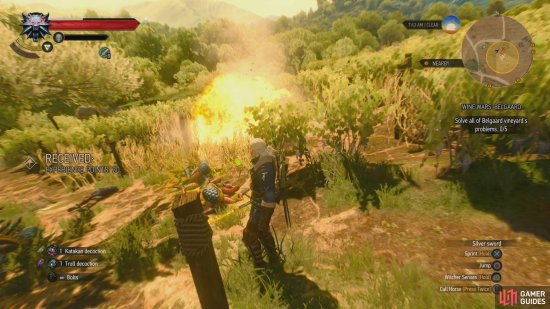 Detail How To Blow Up Nest Witcher 2 Nomer 38