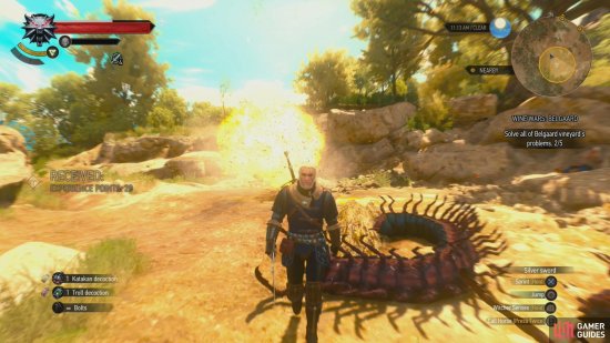 Detail How To Blow Up Nest Witcher 2 Nomer 45