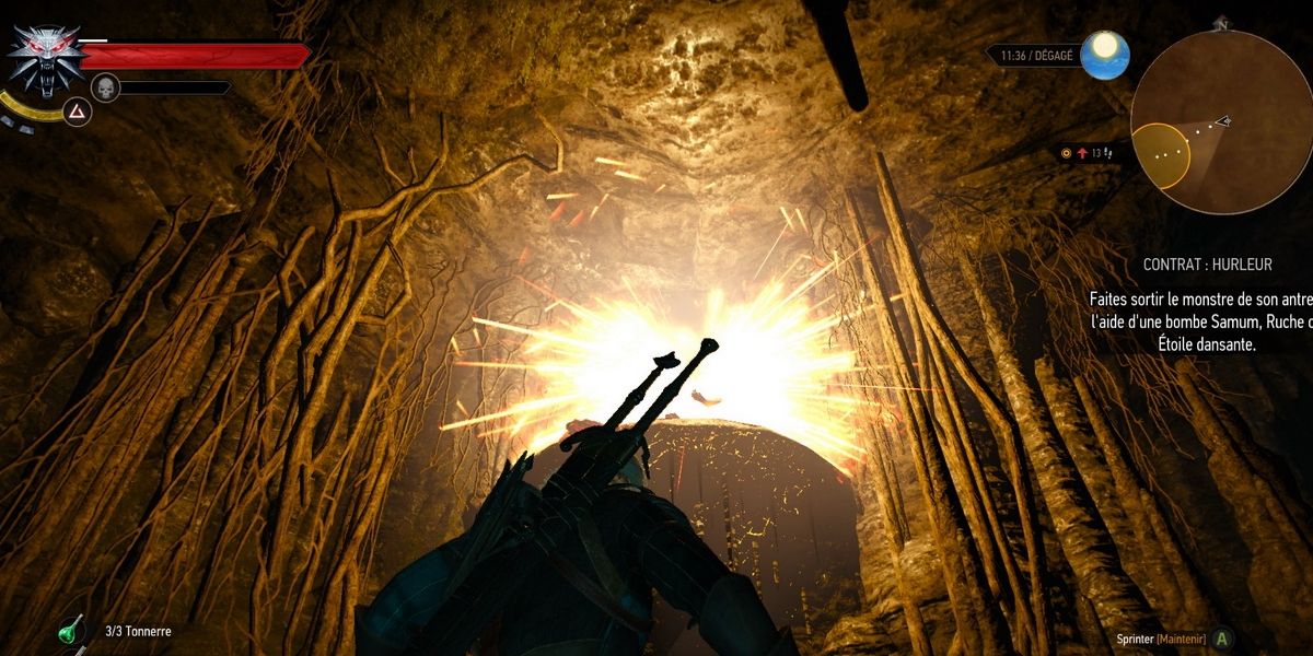 Detail How To Blow Up Nest Witcher 2 Nomer 46