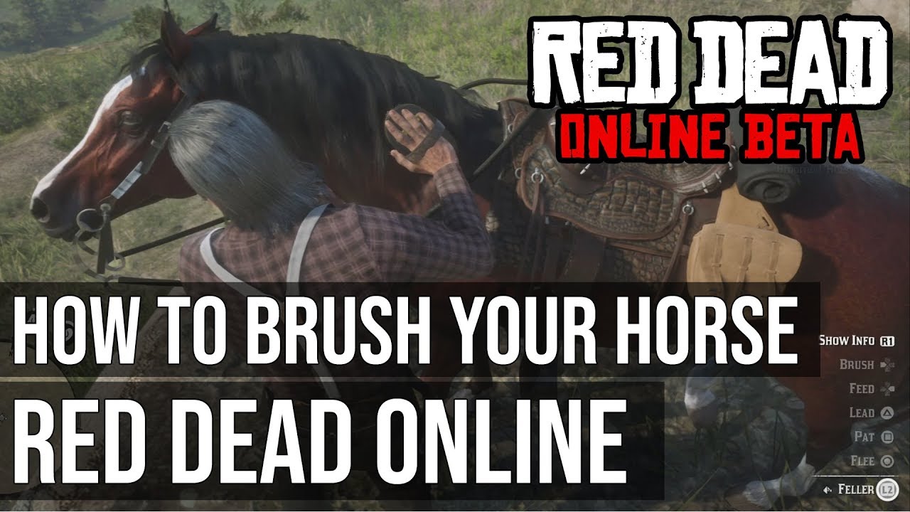 Detail How To Brush Horse Red Dead Redemption 2 Nomer 13