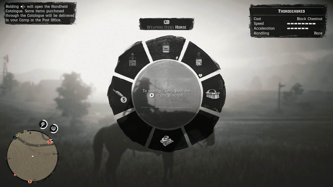 Detail How To Brush Horse Red Dead Redemption 2 Nomer 15