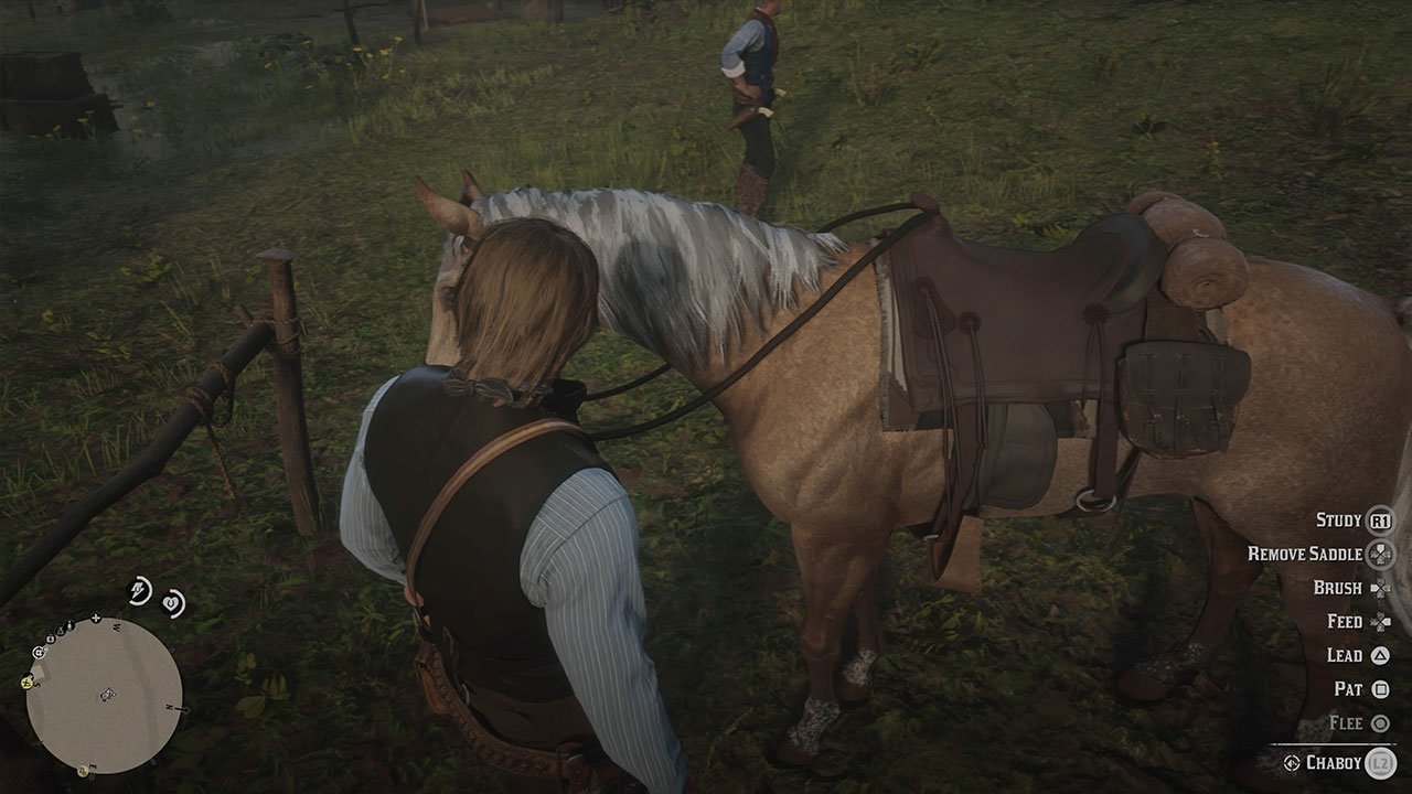Detail How To Brush Horse Red Dead Redemption 2 Nomer 17