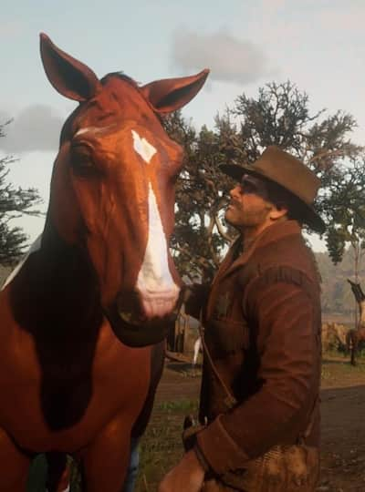 Detail How To Brush Horse Red Dead Redemption 2 Nomer 24