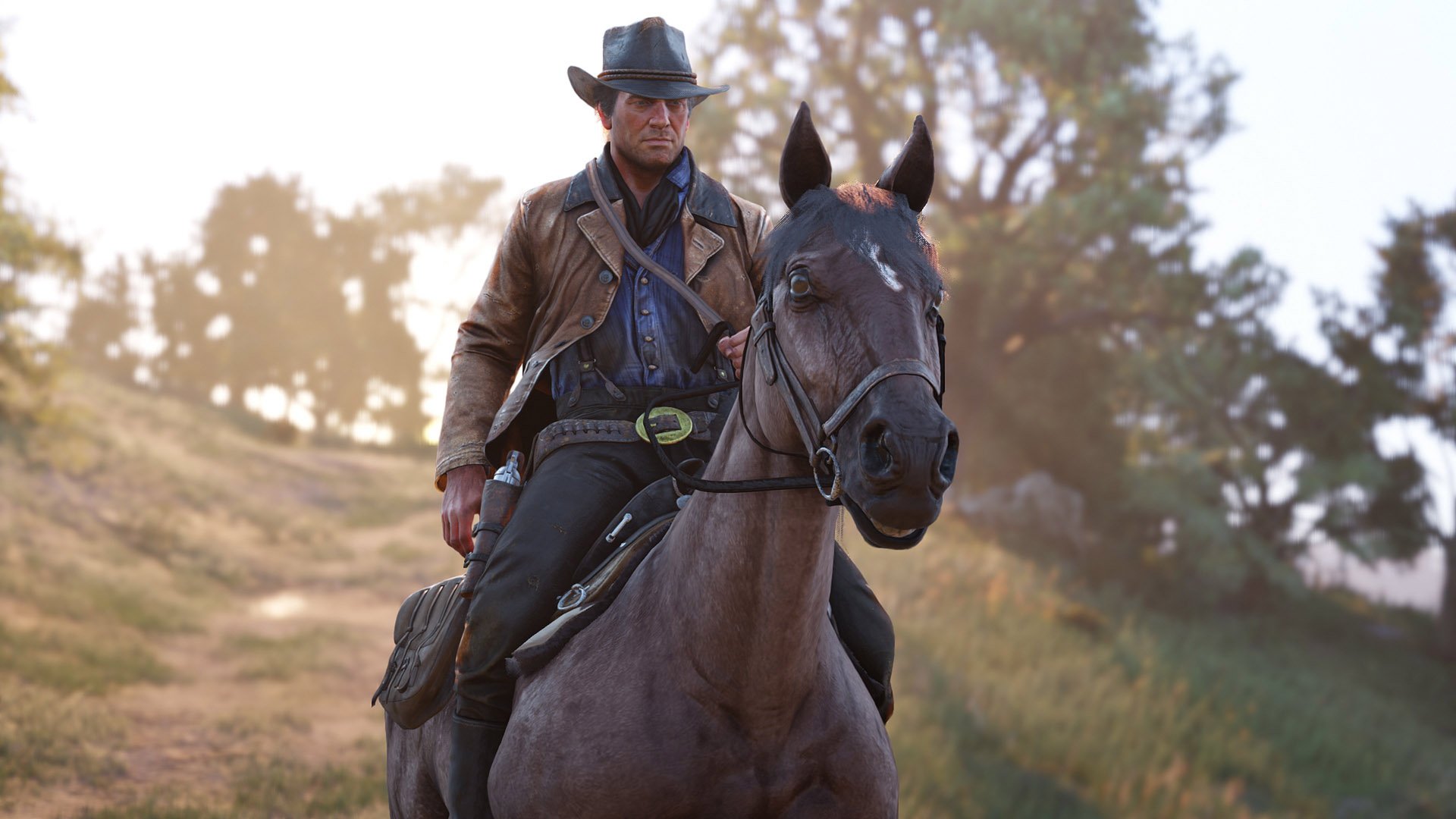 Detail How To Brush Horse Red Dead Redemption 2 Nomer 27