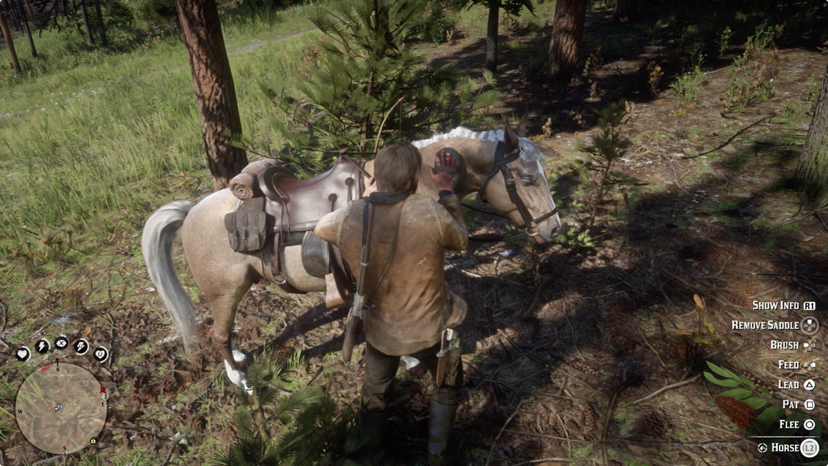 Detail How To Brush Horse Red Dead Redemption 2 Nomer 40