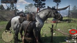 Detail How To Brush Horse Red Dead Redemption 2 Nomer 43
