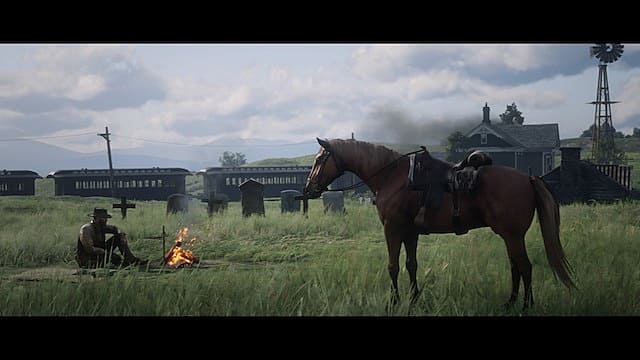 Detail How To Brush Horse Red Dead Redemption 2 Nomer 52